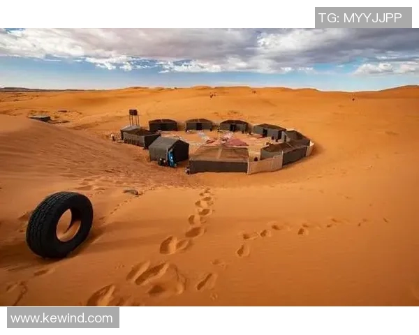 雅各布珀尔特尔的艺术世界与创作灵感探索之旅