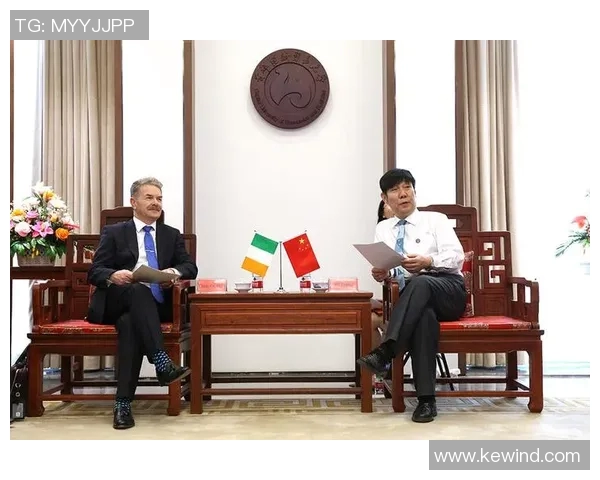 墨西哥与爱尔兰下半场精彩对决回顾与分析